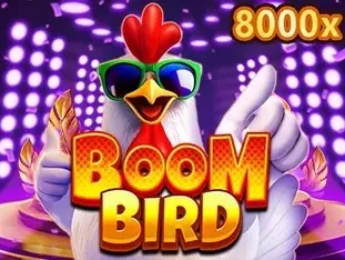 Boom Bird game icon